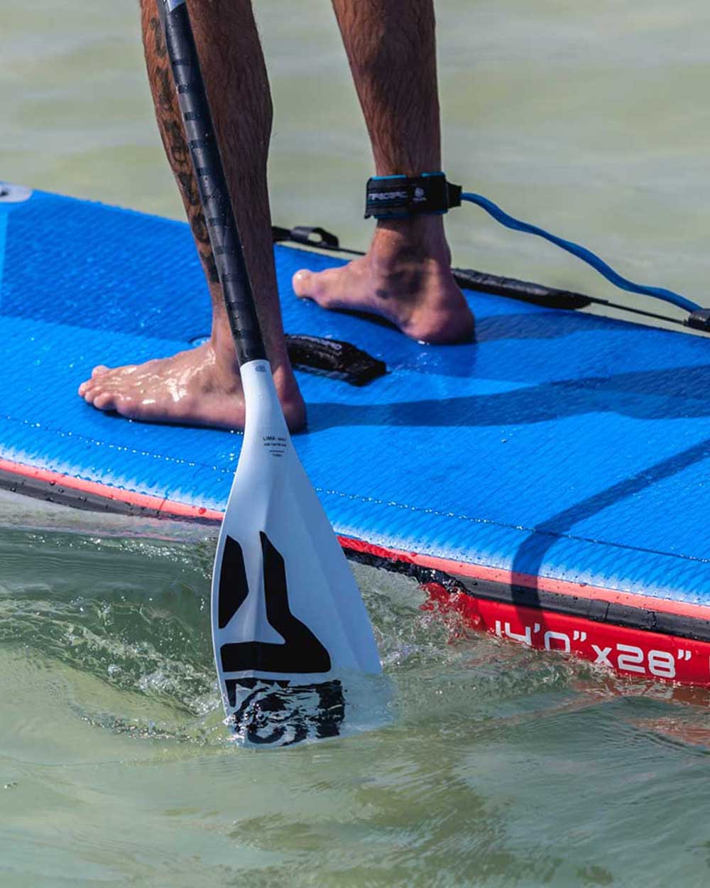 ランキング入賞商品 Default STARBOARD / – PADDLES PADDLE SUPSNZ.COM